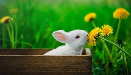 ayx爱游戏_ 安东尼关键三分，湖人击败勇士，爱玩游戏的安东尼