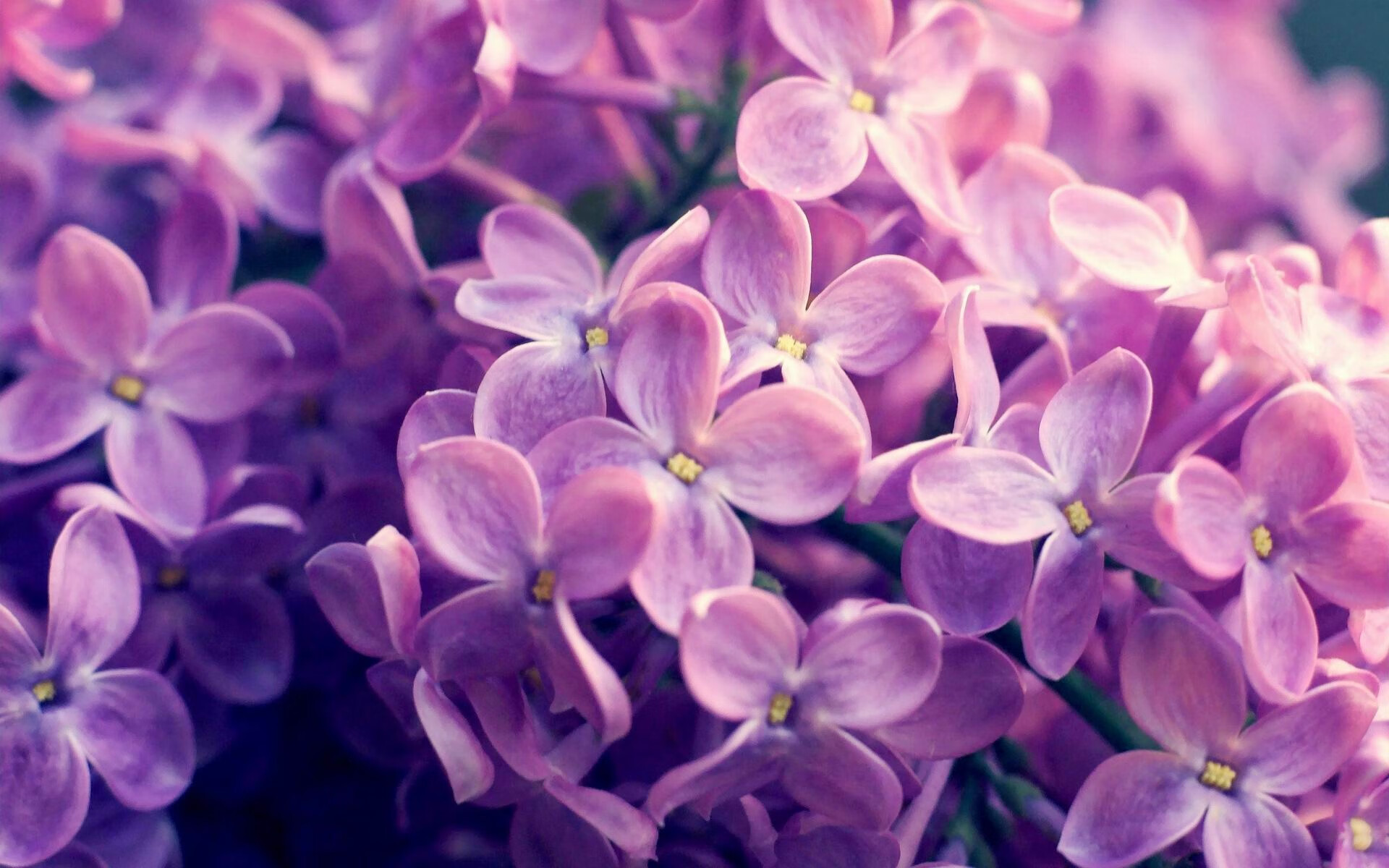 _红土、硬地、草地:不同场地带来的独特体验_,红土地土壤有什么好处