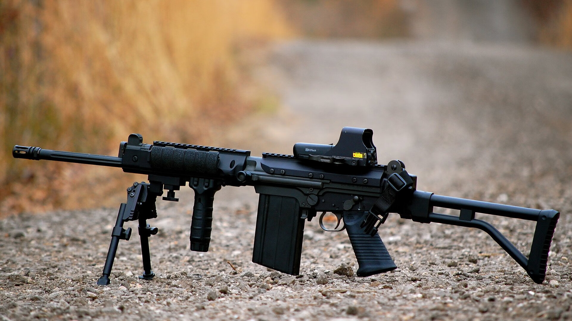 未来之星：关注潜力股的成长轨迹，未来之星指什么人物