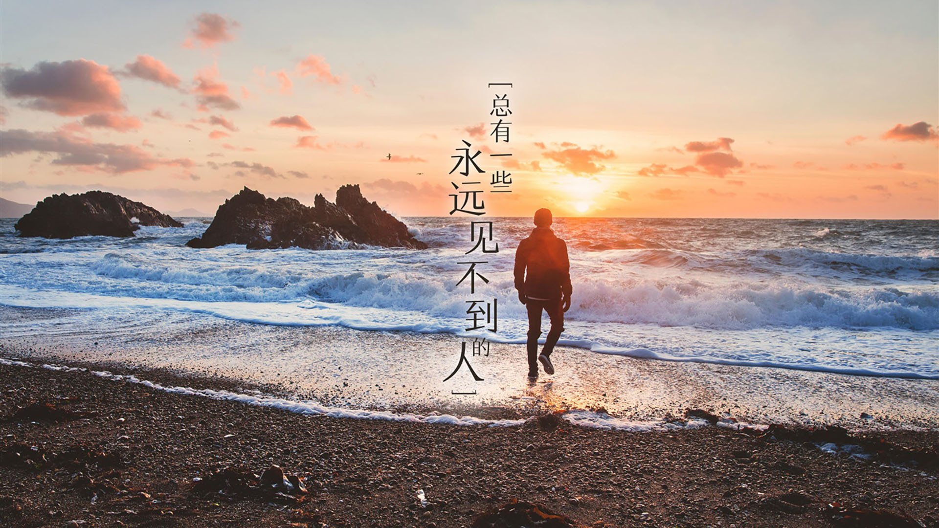 未来之星：年轻天才的成长轨迹追踪，未来之星栏目是真的吗