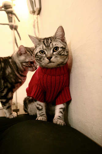 PSG对阵拜仁慕尼黑,胜负难料!,pes2021拜仁慕尼黑