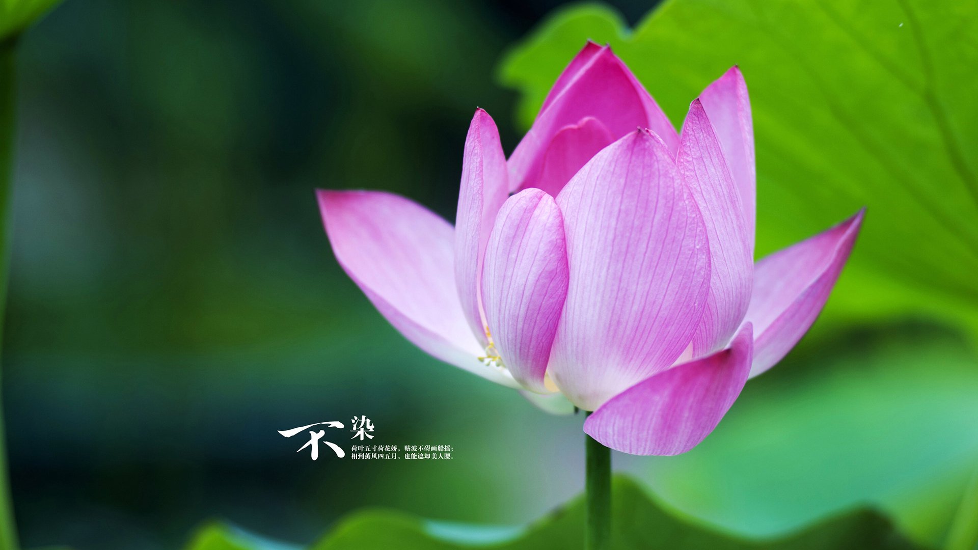 PSG对阵拜仁慕尼黑,胜负难料!,pes2021拜仁慕尼黑在哪