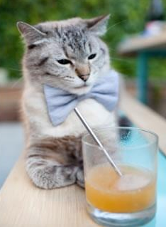 中国篮球运动赛事运营优化策略,篮球比赛运营方案模板