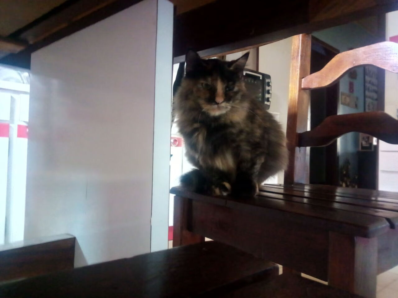 伯恩利传球精准，克拉文公园蓄势待发，克恩里伯斯