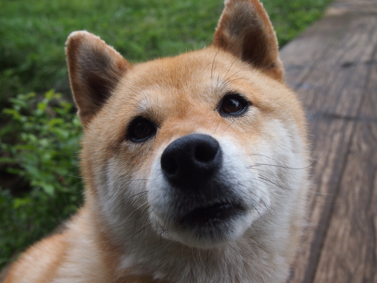 切尔西女足夺冠后球员庆祝画面,切尔西女足池笑然