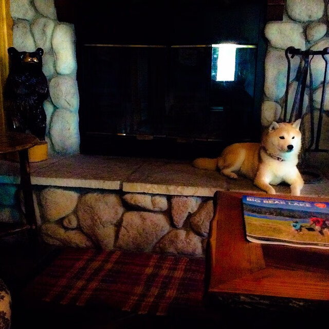 南安普顿防线稳固,力求保级,南安普顿介绍