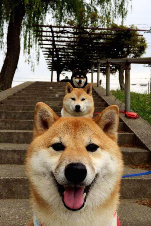 巴朗加国王球员配合默契提升，巴朗加斯