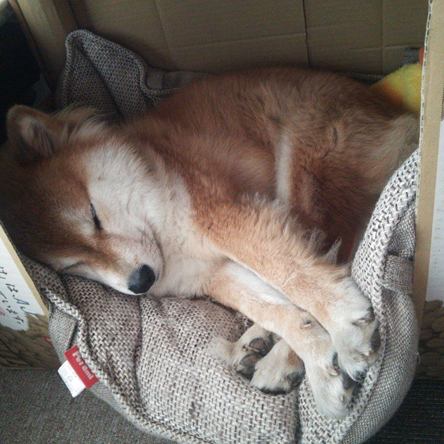 皇马主场逆转胜塞维利亚，维尼修斯梅开二度，皇马1_0塞维利亚