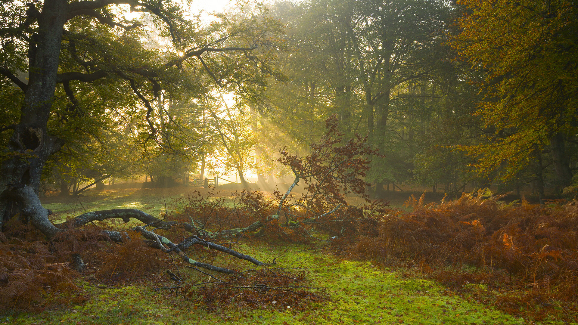 选手出彩逐荣誉，女足比赛精彩绽放，女足小组出局