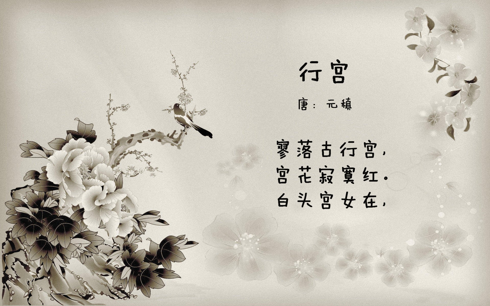 选手实力展现,最佳阵容揭晓女足比赛,女足最强