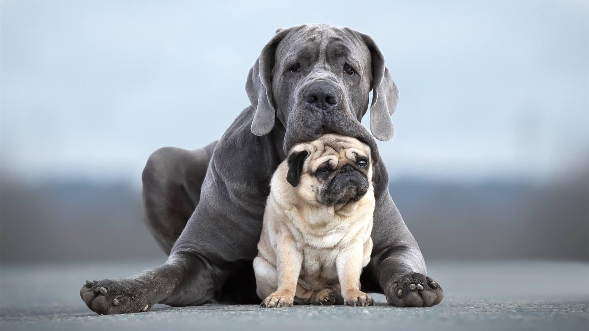 NBA球队青训体系建设与人才培养，nba球队训练