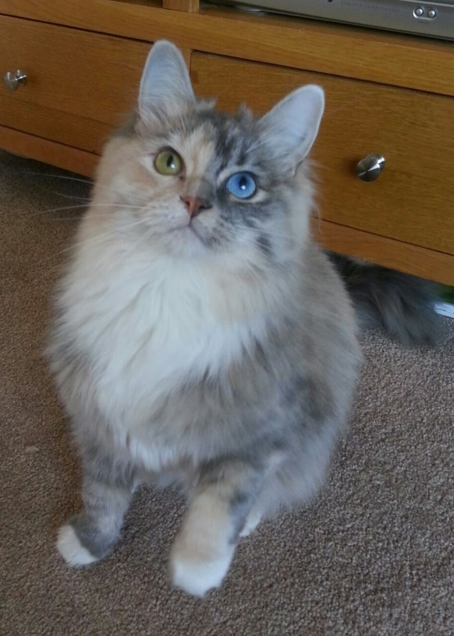 中超攻防平衡型球队战术特点归纳,中超攻防平衡型球队战术特点归纳