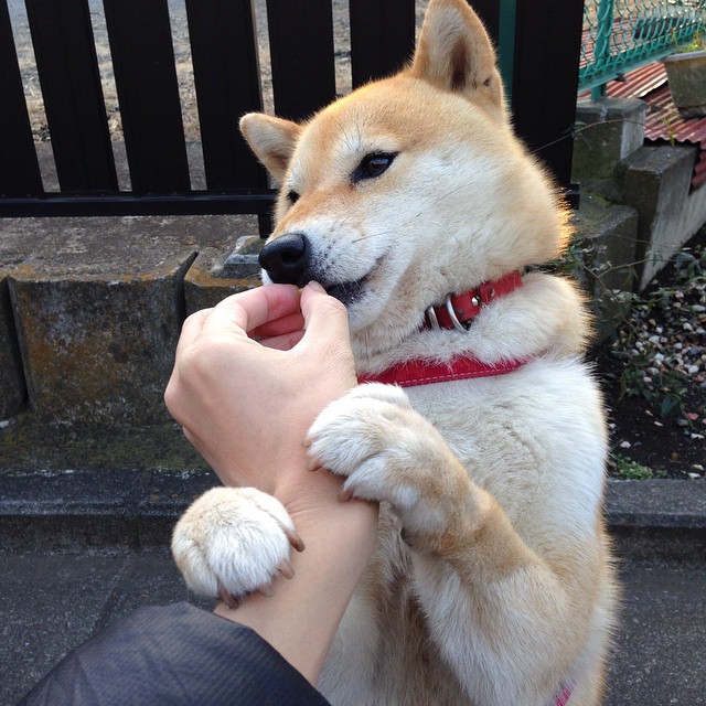 意甲球队利用数据分析优化中场传球线路设计,意甲 球场