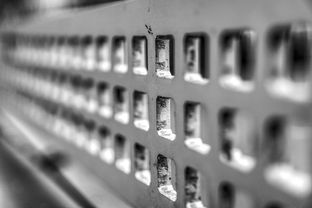 青少年体质监测结果区域对比研究，青少年健康体质检测中心