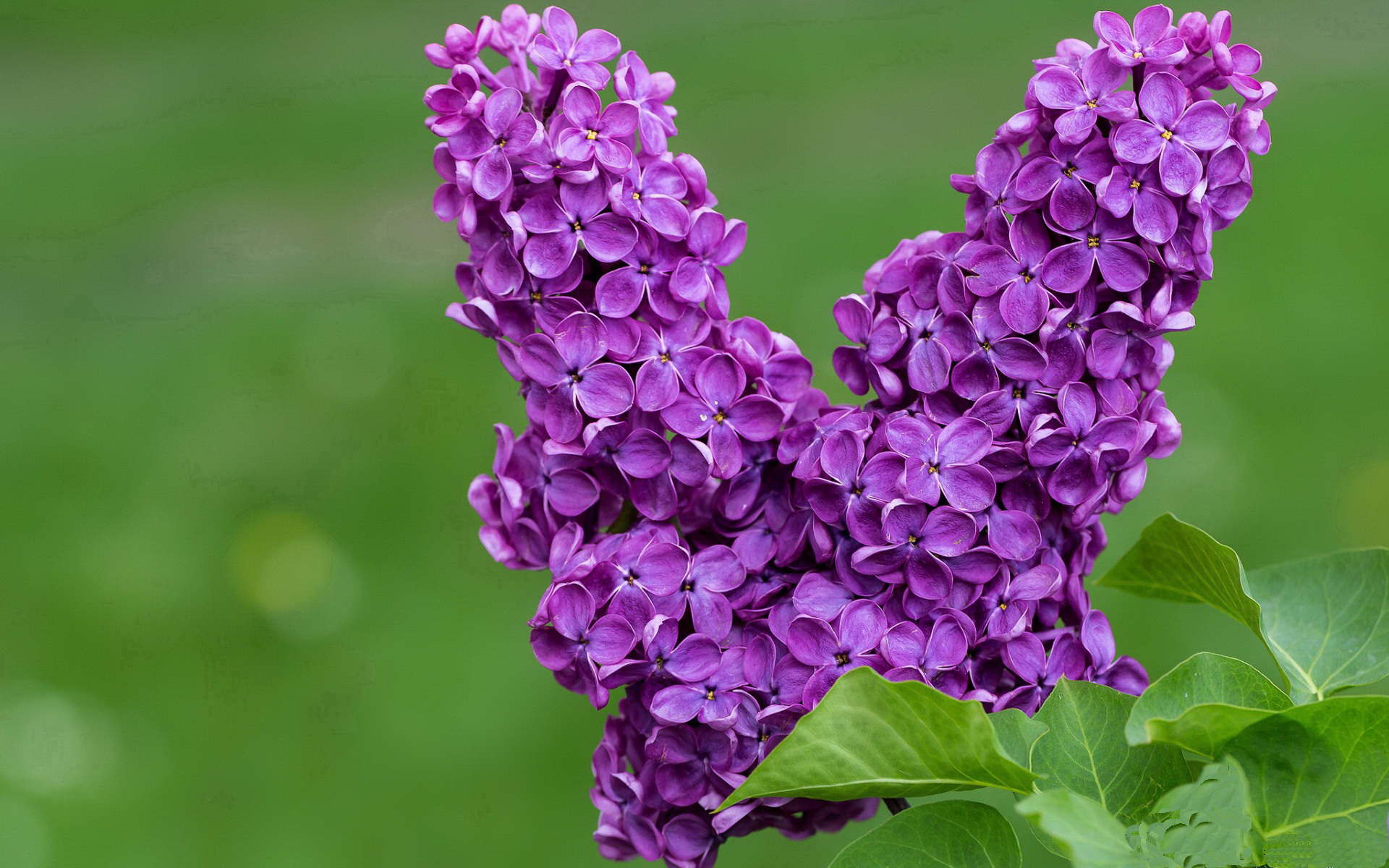奥运资格赛田径项目竞争白热化,奥运田径选拔