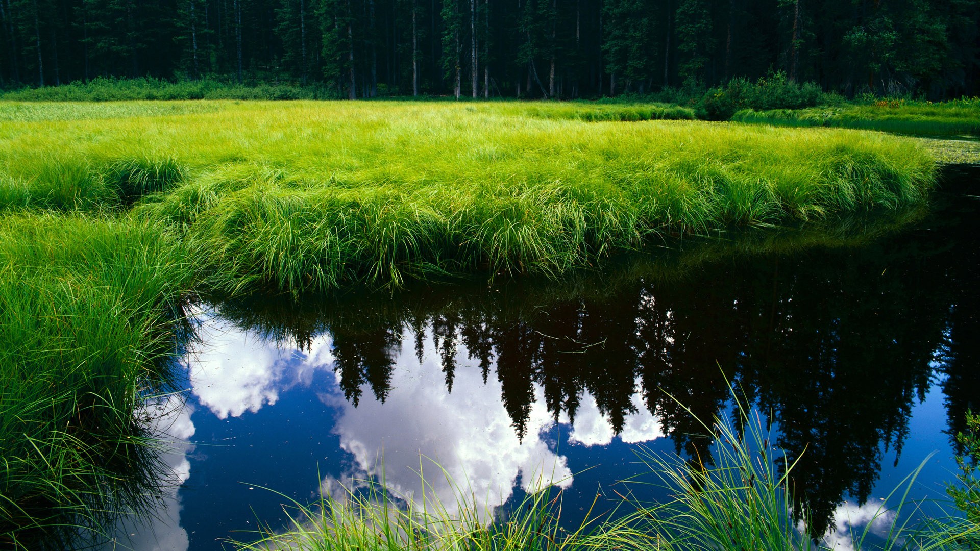 广东队加强团队配合打出多点开花局面