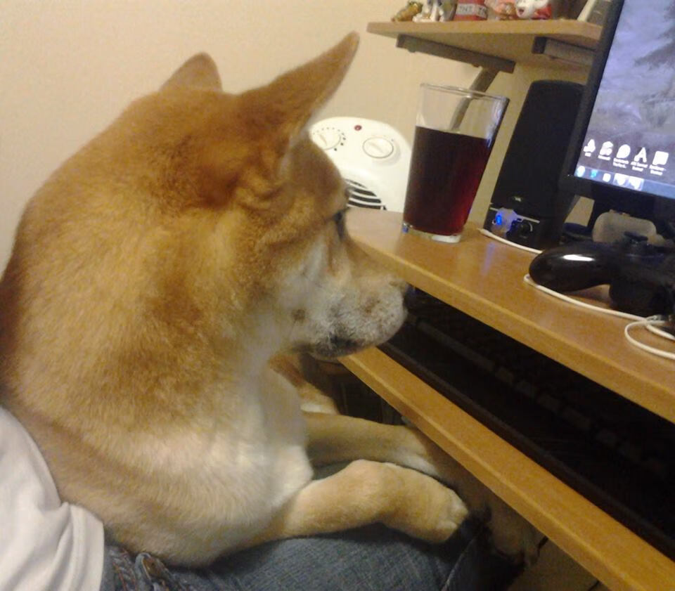 更衣室庆祝冠军时刻全记录,更衣室宣传标语图片