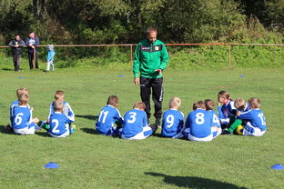 瑞典团队战术：从快攻到慢球的多变打法，瑞典几分钟进球