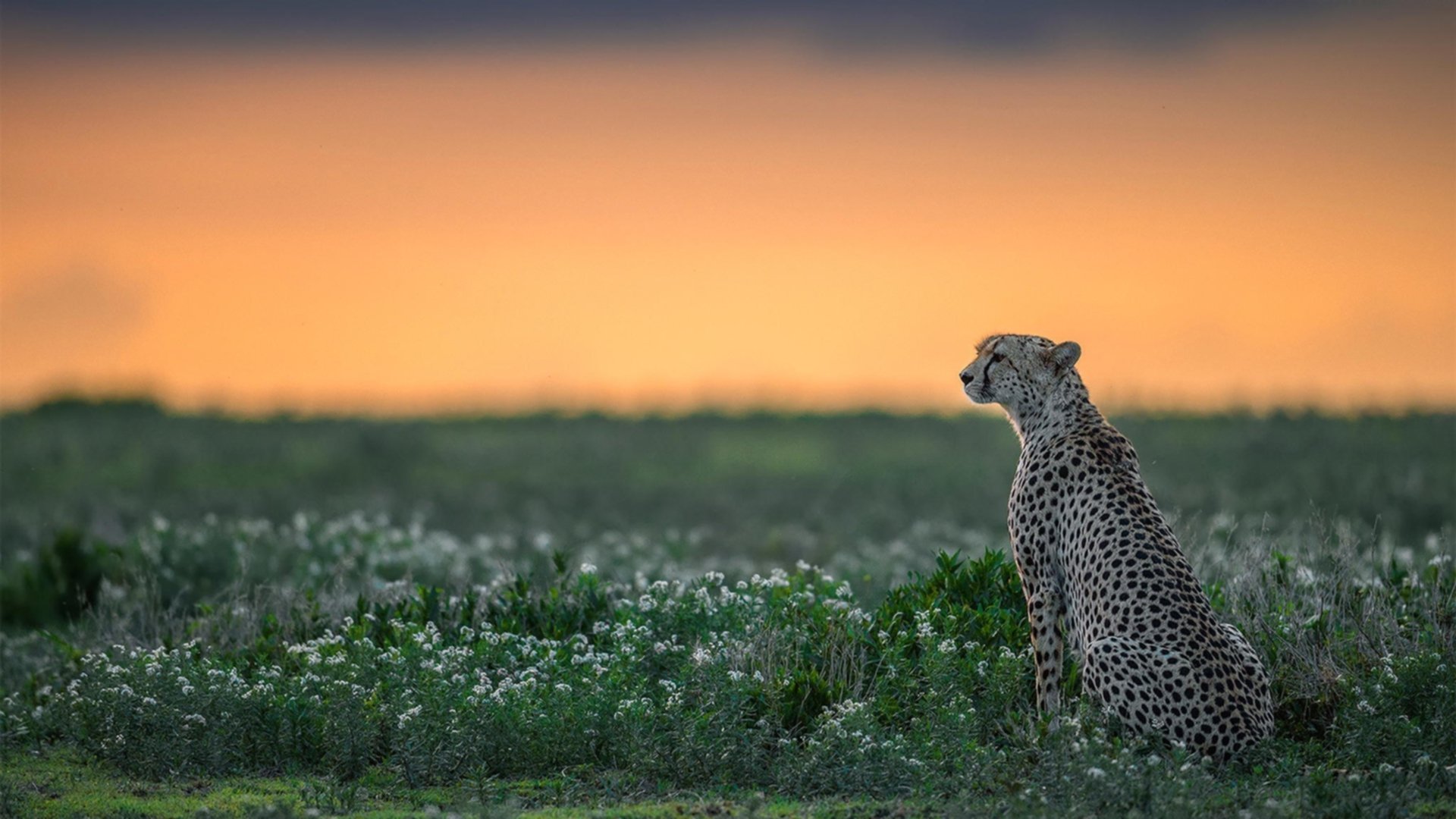 威少多次制造转换得分奇才节奏明显加快,威少转到哪支队伍